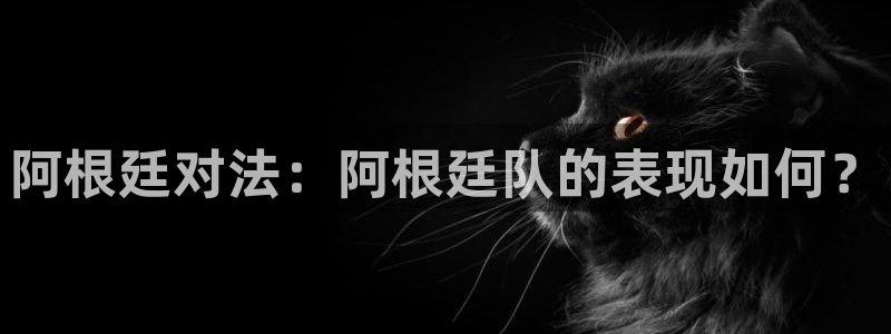 世界杯预选赛赛程：阿根廷对法：阿根廷队的表现如何？