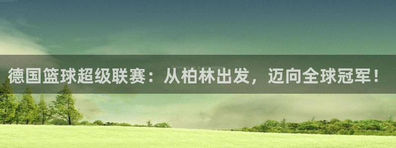 世界杯系列赛：德国篮球超级联赛：从柏林出发，迈向全球冠军！