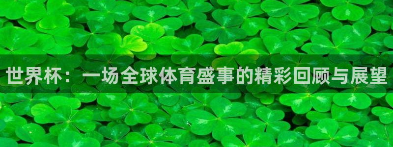 世界杯官网入口：世界杯：一场全球体育盛事的精彩回顾与展望