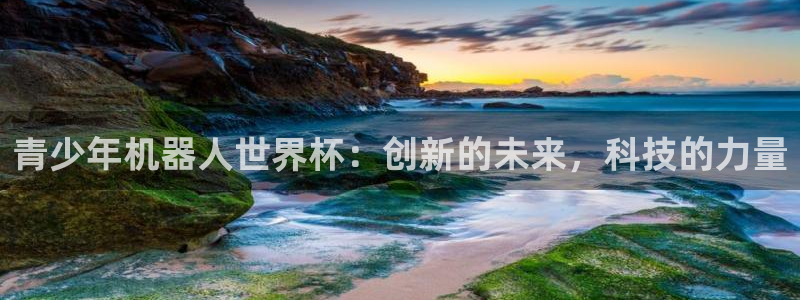 世界杯今年：青少年机器人世界杯：创新的未来，科技的力量