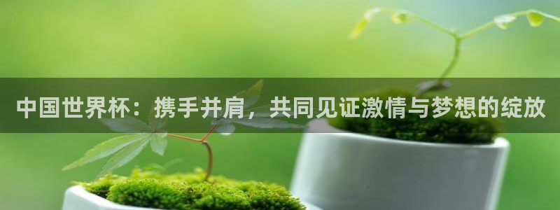世界杯预选赛2026：中国世界杯：携手并肩，共同见证激情与梦想的绽放