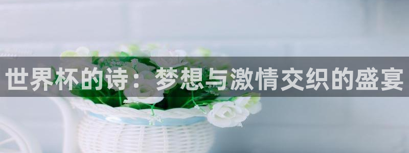 世界杯附加赛赛程表：世界杯的诗：梦想与激情交织的盛宴