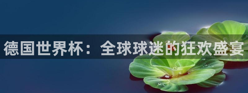 2026世界杯直播免费观看：德国世界杯：全球球迷的狂欢盛宴
