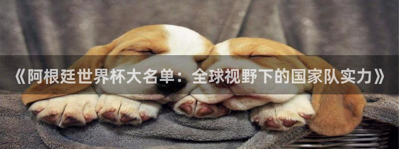 世界杯亚洲预选赛18强赛程：《阿根廷世界杯大名单：全球视野下的国家队实力》