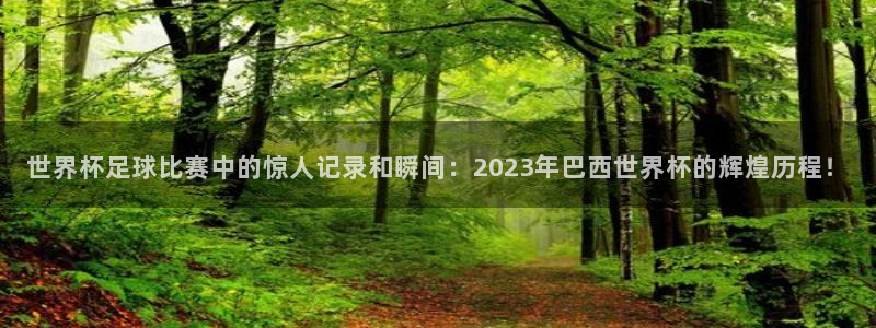 2026世界杯赛程：世界杯足球比赛中的惊人记录和瞬间：2023年巴西世界杯的辉煌历程！