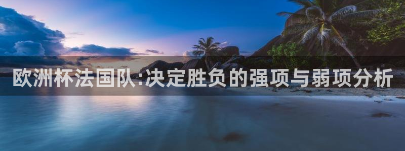 世界杯赛程表2026：欧洲杯法国队:决定胜负的强项与弱项分析
